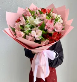 Прайст от 3000