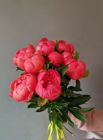 Пион Корал Шарм от интернет-магазина цветов в Владивостоке