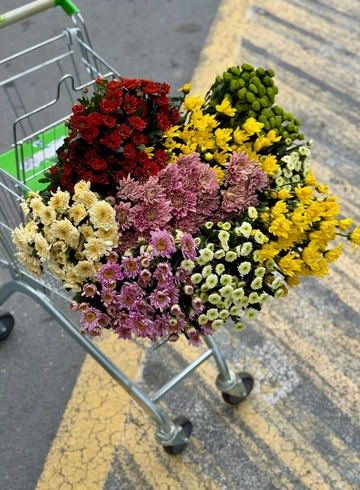 Хризантема кустовая АКЦИЯ от интернет-магазина цветов в Владивостоке