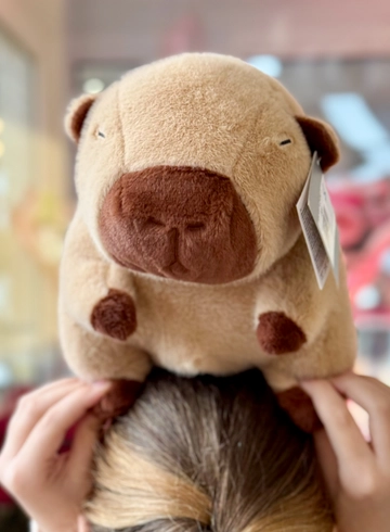 Мягкая игрушка &laquo;Капибара&raquo; размер S от интернет-магазина цветов в Владивостоке