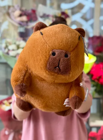Мягкая игрушка &laquo;Капибара&raquo; размер M от интернет-магазина цветов в Владивостоке